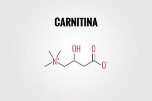 Carnitina