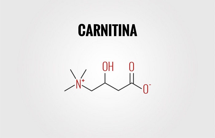 Carnitina