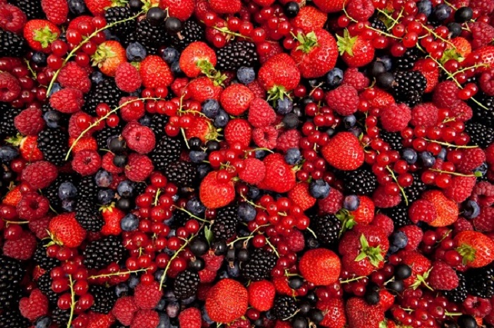 Frutti di Bosco