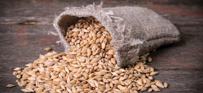 Malto d'Orzo Malto d’Orzo